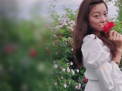 -三圣花乡旅游区