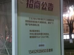 -重庆市江北嘴中央商务区中央公园