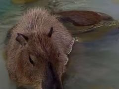 -天目湖水世界