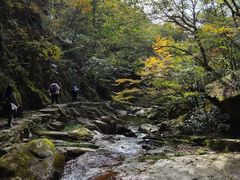 -浙西天池景区