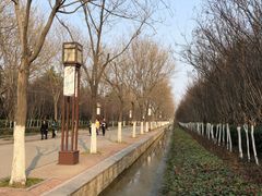 -洛阳市隋唐城遗址植物园