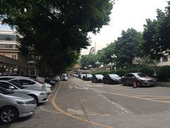 -广州市第一人民医院(院本部)