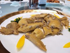 珍味白切葵花鸡-御彩酒家(东风东路店)