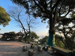 -西泠印社