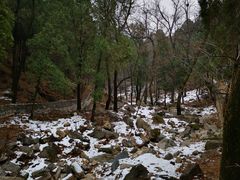 -泰山风景名胜区