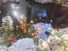 -鲤院·新中式美学·庭院餐厅(夫子庙店)