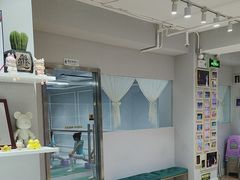 -舞蓓舞蹈(永定路校区)