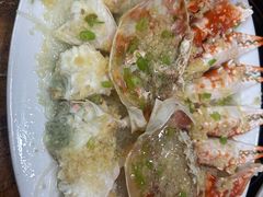 -金砂阿洲鱼册店