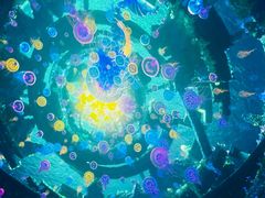 -海合安武汉极地海洋公园