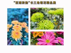 -杭州植物园
