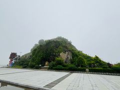 -大鹿岛