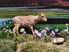 -中国湿地博物馆