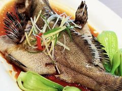 -顺峰·粤菜海鲜·早茶自助(阜成店)