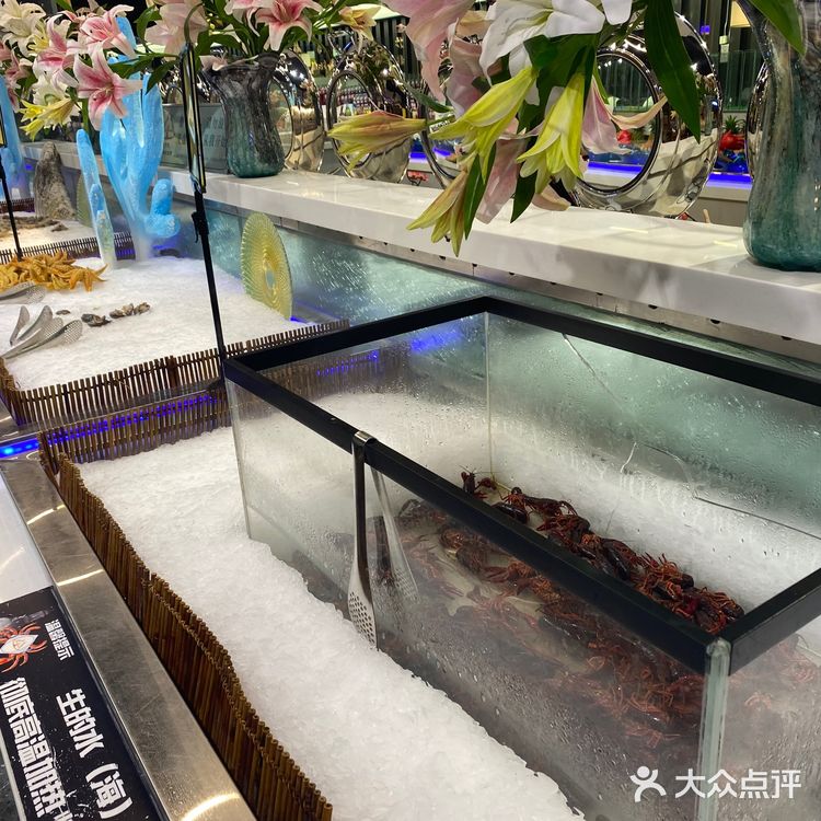 青岛探店🏛|圣罗巴海鲜烤肉自助