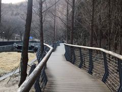 -白水寺森林公园