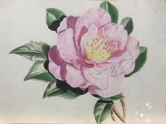 -八哥美术·成人美术画室(总校区)
