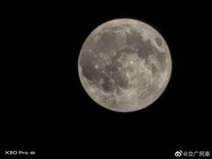 -糯米包油条(武汉大学店)