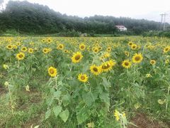 -湖南湘都生态农业园