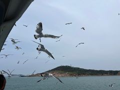 -海驴岛(荣成市)