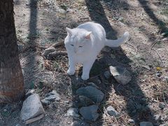 -鹫峰国家森林公园