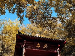-北极阁公园