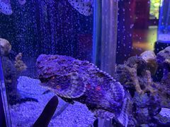 -太平洋海底世界