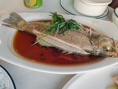 -云中小雅