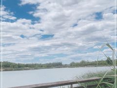 -马家湾湿地公园