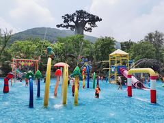 -苏州乐园森林水世界