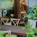 吃和远方 | 盛开在公园里的鲜花🌸甜品工作室