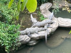 -长鹿旅游休博园