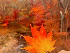 -本溪老边沟风景区