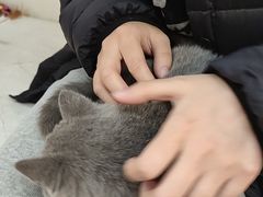 -lincat·猫舍(广州店)