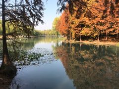 -浙江大学(紫金港校区)