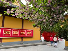 -龙华素斋(龙华路店)