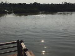 -东寨港红树林旅游区