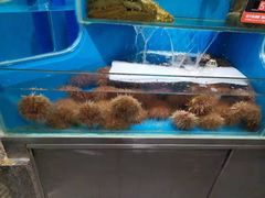 水产区-海味当家·蒸锅海鲜(星海公园店)