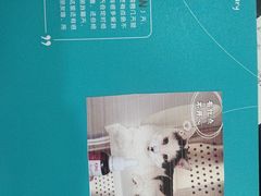 -艾贝尔宠物医院·24H转诊中心·肿瘤猫专科(江宁双龙店)