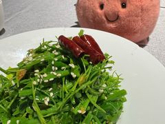 -潮府馆·非遗潮州菜·世纪公园(新国际博览中心店)
