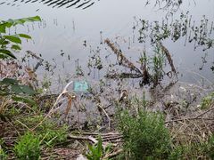 -石燕湖生态旅游景区