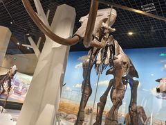 -国家自然博物馆