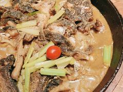 -老板恋上鱼(高新万达店)