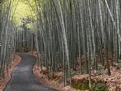 -苏州环秀晓筑养生度假村