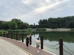 -大望京儿童游乐场