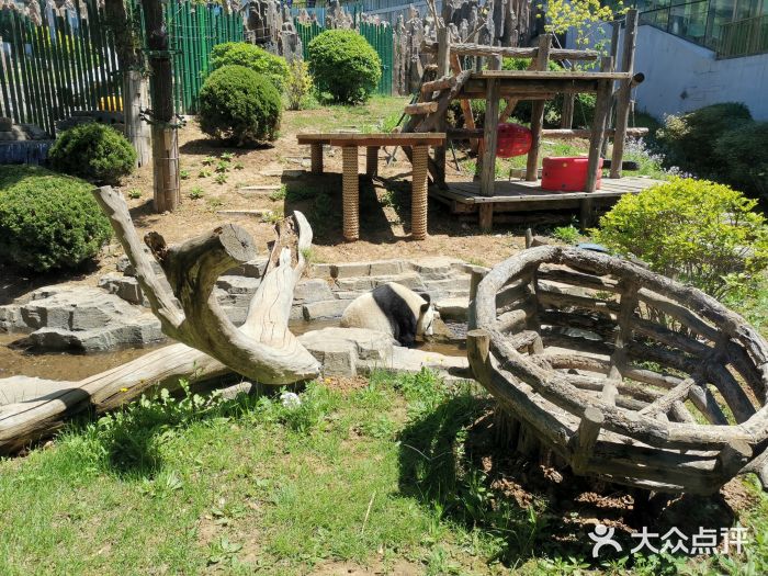 大连森林动物园图片