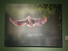 -中国湿地博物馆