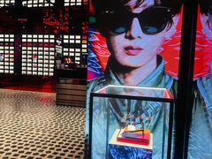 -Ray·Ban雷朋(淮海中路店)