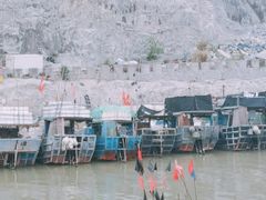-北岐滩涂