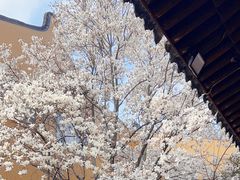 -龙华寺