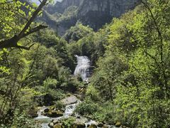 -鹿院坪生态旅游景区